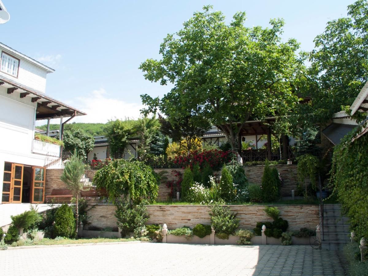 Загородные дома Conacul Pitusca Pituşca
