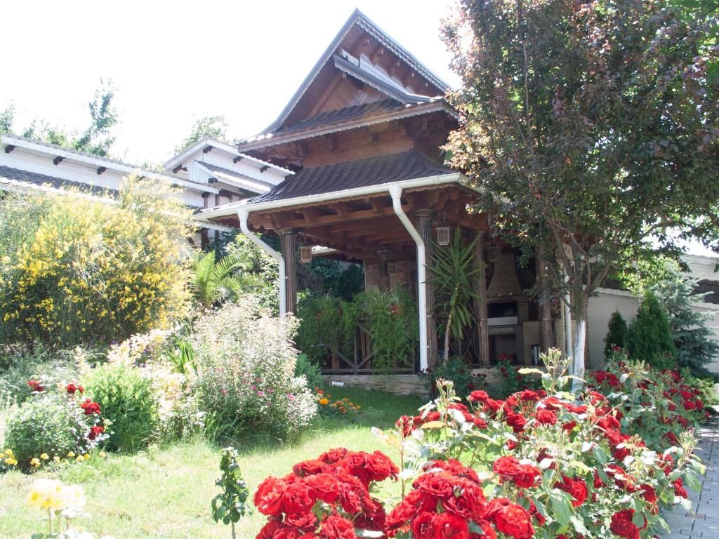 Загородные дома Conacul Pitusca Pituşca-52
